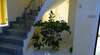Гостевой дом Guesthouse Yuzhanka Кабардинка-2
